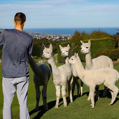 Alpaca Farmstay Dunedin Esterno foto